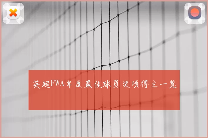 英超FWA年度最佳球员奖项得主一览