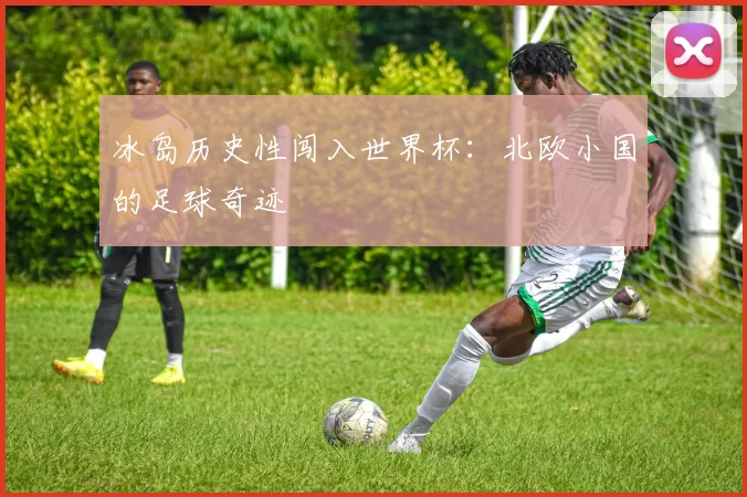 冰岛历史性闯入世界杯:北欧小国的足球奇迹
