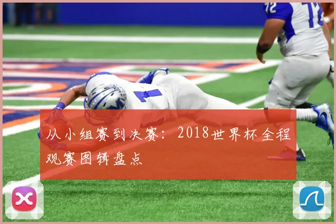从小组赛到决赛:2018世界杯全程观赛图辑盘点