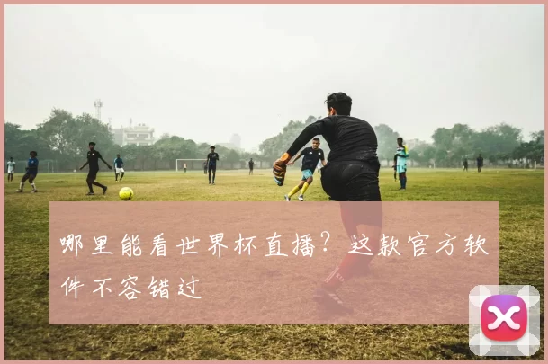 哪里能看世界杯直播？这款官方软件不容错过