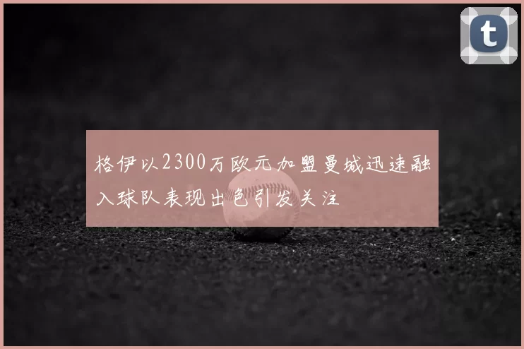 格伊以2300万欧元加盟曼城迅速融入球队表现出色引发关注