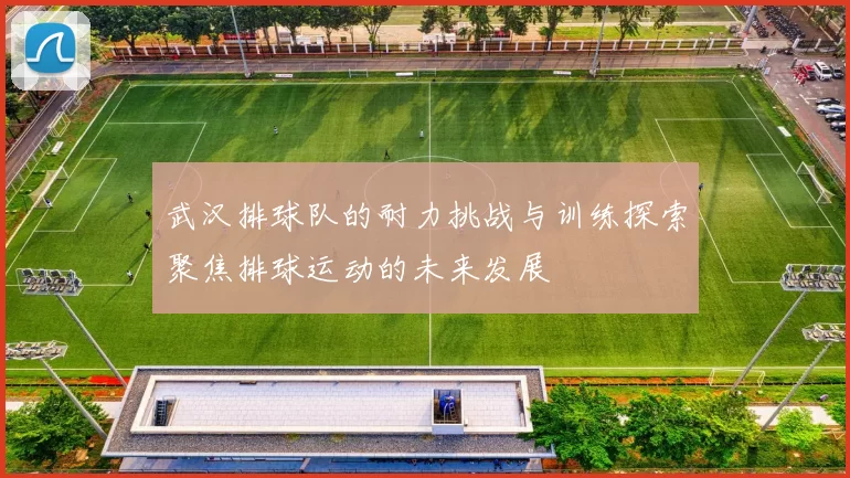 武汉排球队的耐力挑战与训练探索聚焦排球运动的未来发展