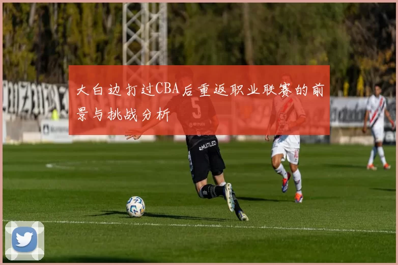大白边打过CBA后重返职业联赛的前景与挑战分析