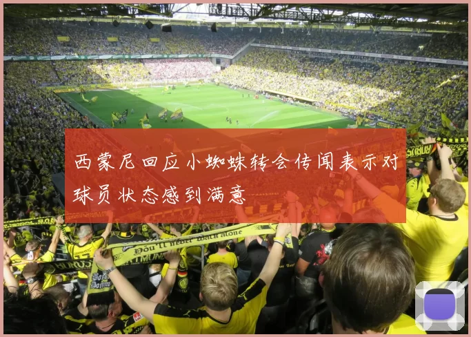 西蒙尼回应小蜘蛛转会传闻表示对球员状态感到满意