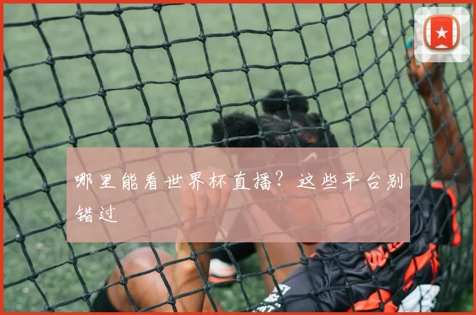 哪里能看世界杯直播?这些平台别错过