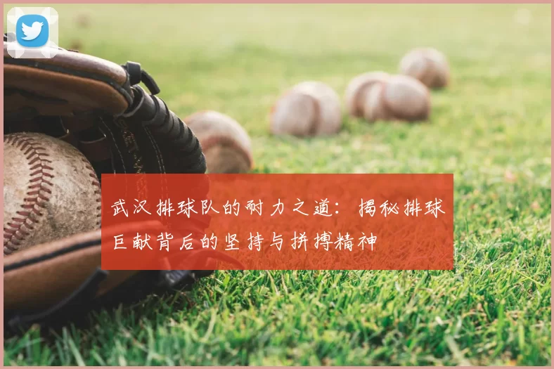 武汉排球队的耐力之道：揭秘排球巨献背后的坚持与拼搏精神