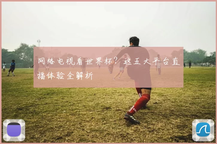 网络电视看世界杯?这五大平台直播体验全解析