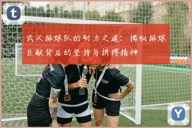 武汉排球队的耐力之道：揭秘排球巨献背后的坚持与拼搏精神
