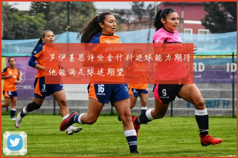 罗伊基恩评价舍什科进球能力期待他能满足球迷期望