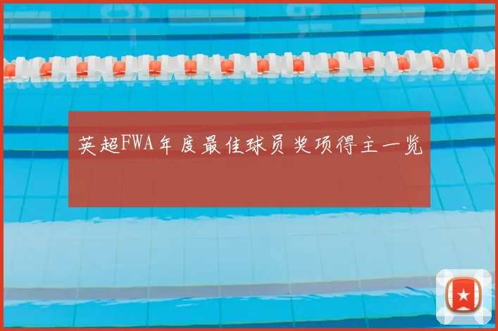 英超FWA年度最佳球员奖项得主一览