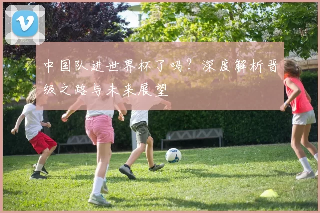 中国队进世界杯了吗？深度解析晋级之路与未来展望